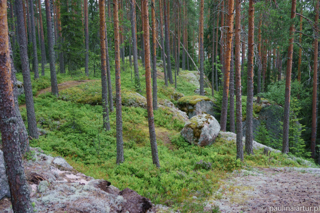 Powrót